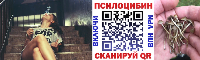 Галлюциногенные грибы мицелий  наркота  Любим 